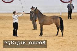 25R1516_00208 thumbnail