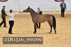 25R1516_00209 thumbnail