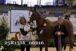 25R1516_00216 thumbnail