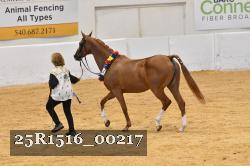 25R1516_00217 thumbnail