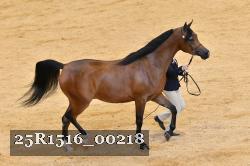 25R1516_00218 thumbnail