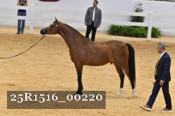 25R1516_00220 thumbnail