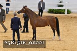 25R1516_00221 thumbnail