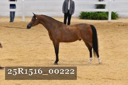 25R1516_00222 thumbnail