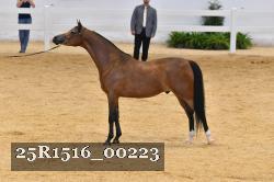 25R1516_00223 thumbnail