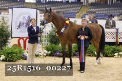 25R1516_00227 thumbnail