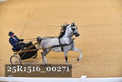 25R1516_00271 thumbnail
