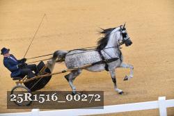 25R1516_00272 thumbnail