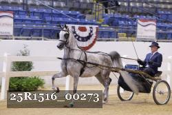 25R1516_00273 thumbnail