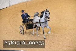 25R1516_00275 thumbnail