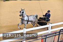 25R1516_00276 thumbnail