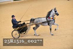 25R1516_00277 thumbnail