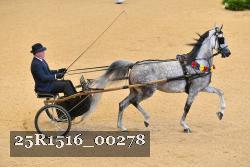 25R1516_00278 thumbnail