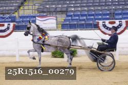 25R1516_00279 thumbnail