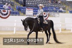 25R1516_00288 thumbnail