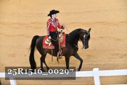 25R1516_00297 thumbnail