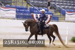 25R1516_00301 thumbnail