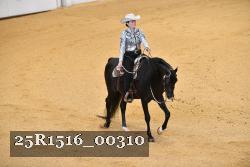 25R1516_00310 thumbnail