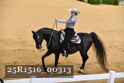 25R1516_00313 thumbnail