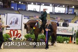 25R1516_00318 thumbnail