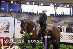 25R1516_00321 thumbnail