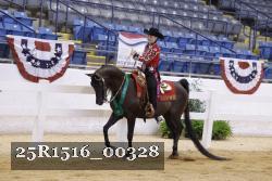 25R1516_00328 thumbnail
