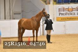 25R1516_04746 thumbnail