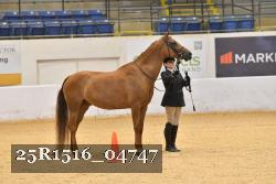 25R1516_04747 thumbnail