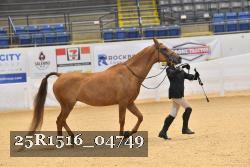 25R1516_04749 thumbnail
