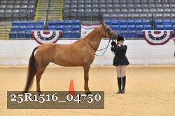 25R1516_04750 thumbnail