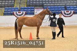 25R1516_04751 thumbnail