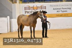 25R1516_04753 thumbnail