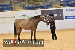 25R1516_04754 thumbnail