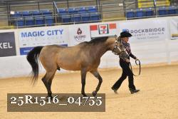 25R1516_04755 thumbnail