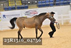25R1516_04756 thumbnail