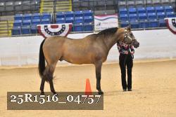 25R1516_04757 thumbnail