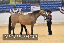 25R1516_04758 thumbnail