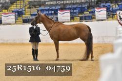 25R1516_04759 thumbnail