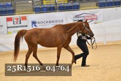 25R1516_04764 thumbnail
