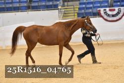 25R1516_04765 thumbnail