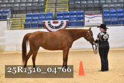 25R1516_04766 thumbnail