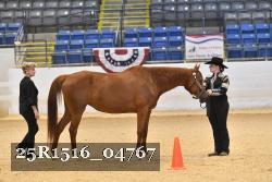 25R1516_04767 thumbnail