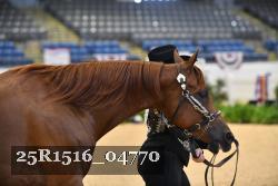 25R1516_04770 thumbnail