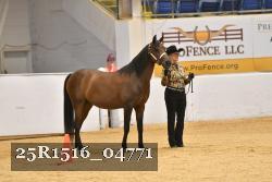 25R1516_04771 thumbnail