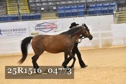 25R1516_04773 thumbnail