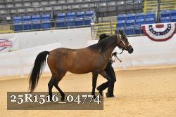 25R1516_04774 thumbnail