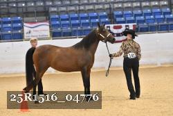 25R1516_04776 thumbnail