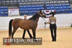 25R1516_04777 thumbnail