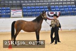 25R1516_04778 thumbnail