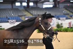 25R1516_04780 thumbnail